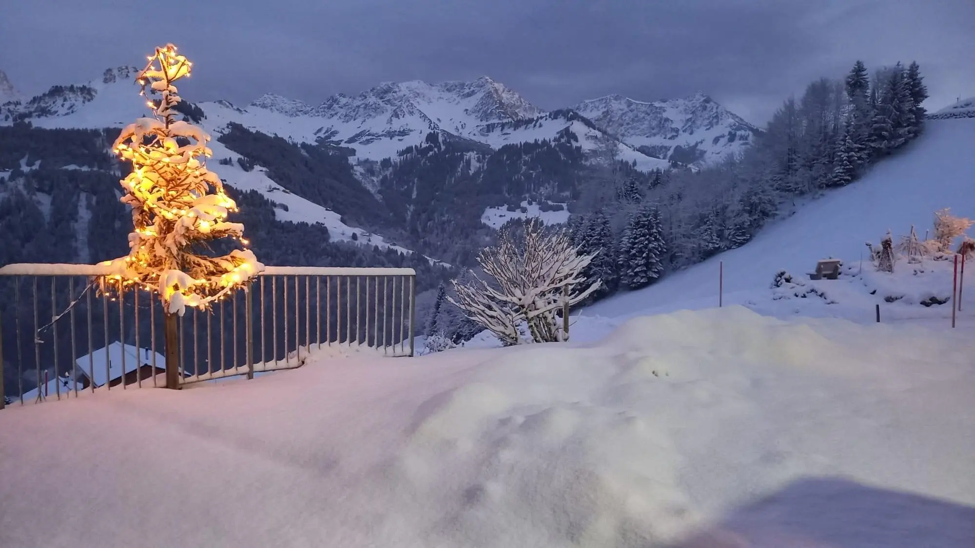 Ausblick vom Ferienhaus Schwendehof
